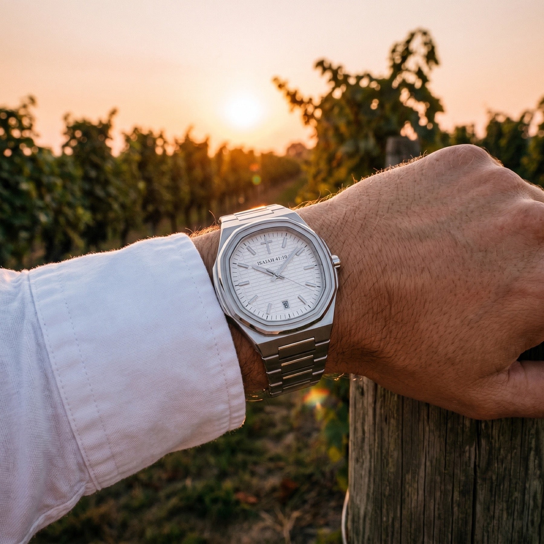 Through the vineyard at sunset